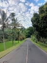 road in rural village of bangsing pupuan with coconut trees beside rice fields with cloudy sky