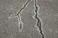 Road salt residue surrounding pavement crack