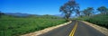 Road in the Santa Ynez Royalty Free Stock Photo