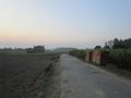 A road scene of village in uttarpardesh india