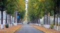 Road scenery in autumn