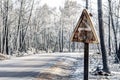 Road through scorched earth Royalty Free Stock Photo