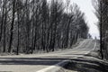 Road through scorched earth Royalty Free Stock Photo