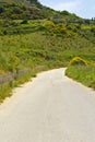 Road in Sicily Royalty Free Stock Photo