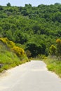Road in Sicily Royalty Free Stock Photo