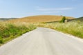 Road in Sicily Royalty Free Stock Photo