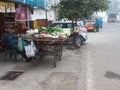 road side business, small vendors selling fresh vegetables in a cart