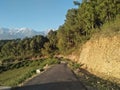 Road side forest view landscape view with mountain in background