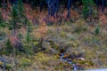 Road side run off near Mount Baldy Pass. Bow Valley wilderness Area. Alberta, Canada Royalty Free Stock Photo