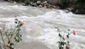 Road side view of the Beas river flowing in Manali at Himachal Pradesh, India Royalty Free Stock Photo