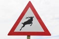 Road sign beware of animals at Hogsback in South Africa Royalty Free Stock Photo