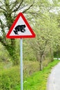 road sign - caution frogs on the road 2