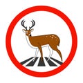 Road sign. Deer Crossing the Road Royalty Free Stock Photo
