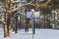 Road sign for disabled parking in the forest Royalty Free Stock Photo