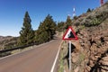 Road sign falling stones Royalty Free Stock Photo