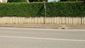 Road sign in front of a house fence consisting of a block concrete wall and a tall hedge above. Sidewalk and urban street