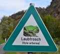 Road sign highlights the presence of green tree frog hyla arbor