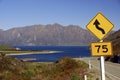 Road Sign - Lake Hawea