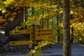 Germany, Neuschwanstein Castle, maple forest, forest trail, road sign Royalty Free Stock Photo