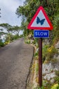 Road sign ordering slowing