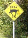 Road Sign in Park Bobcat Crossing