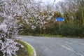 A road sign pointing towards Cranford Park Royalty Free Stock Photo