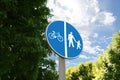 Road sign Shared Lane Bicycles and Pedestrians near trees outdoors Royalty Free Stock Photo