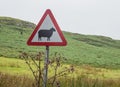 Road sign warning for sheep crossing