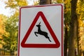 Road sign warns about wild animals crossing the road Royalty Free Stock Photo