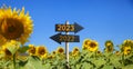 Road sign for year 2023 in sunflower garden