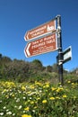 Road signs, dandelions, daisies and blue skies Royalty Free Stock Photo