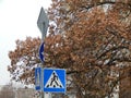 Road signs indicating the direction of movement Royalty Free Stock Photo