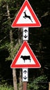 Road signs near the wood caution crossing animals cow