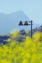 Road signs with Rapeseed flowers at Snail farm Luositian Field in Luoping County, China Royalty Free Stock Photo