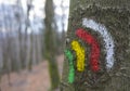 Road signs for walkers in the forest of the Aiako Harriak natural park