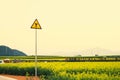 Road signs with Yellow rapeseed flowers Field at Luoping County, China Royalty Free Stock Photo