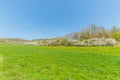 Road and slopes in spring landscape in the German Eifel region near to Gerolstein