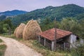 Farm in Serbia