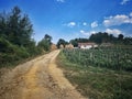 Farm in Serbia