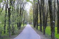 Veliky Novgorod. Small Park. Trees. Road. Field. Water. Royalty Free Stock Photo
