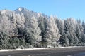 The road and snow-capped trees in Slovakia. Royalty Free Stock Photo