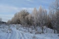 A road through a snow-covered field leads to a winter forest. The trees are covered with frost. There are light whitish clouds Royalty Free Stock Photo