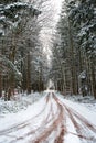 Road through a snow covered forest, slippery and frosty street in winter, empty highway in cold temperature, seasonal weather Royalty Free Stock Photo