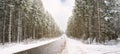 Road through a snow covered forest, slippery and frosty street in winter, empty highway in cold temperature, seasonal weather Royalty Free Stock Photo