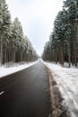 Road through a snow covered forest, slippery and frosty street in winter, empty highway in cold temperature Royalty Free Stock Photo