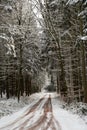 Road through a snow covered forest, slippery and frosty street in winter, empty highway in cold temperature, seasonal weather and Royalty Free Stock Photo