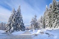 Road with snow covered through a forest at winter Royalty Free Stock Photo