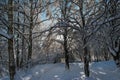 Snow-covered park