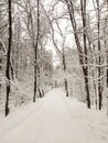 Road snow covered in winter snowy forest Royalty Free Stock Photo