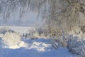 Road through snow drifts